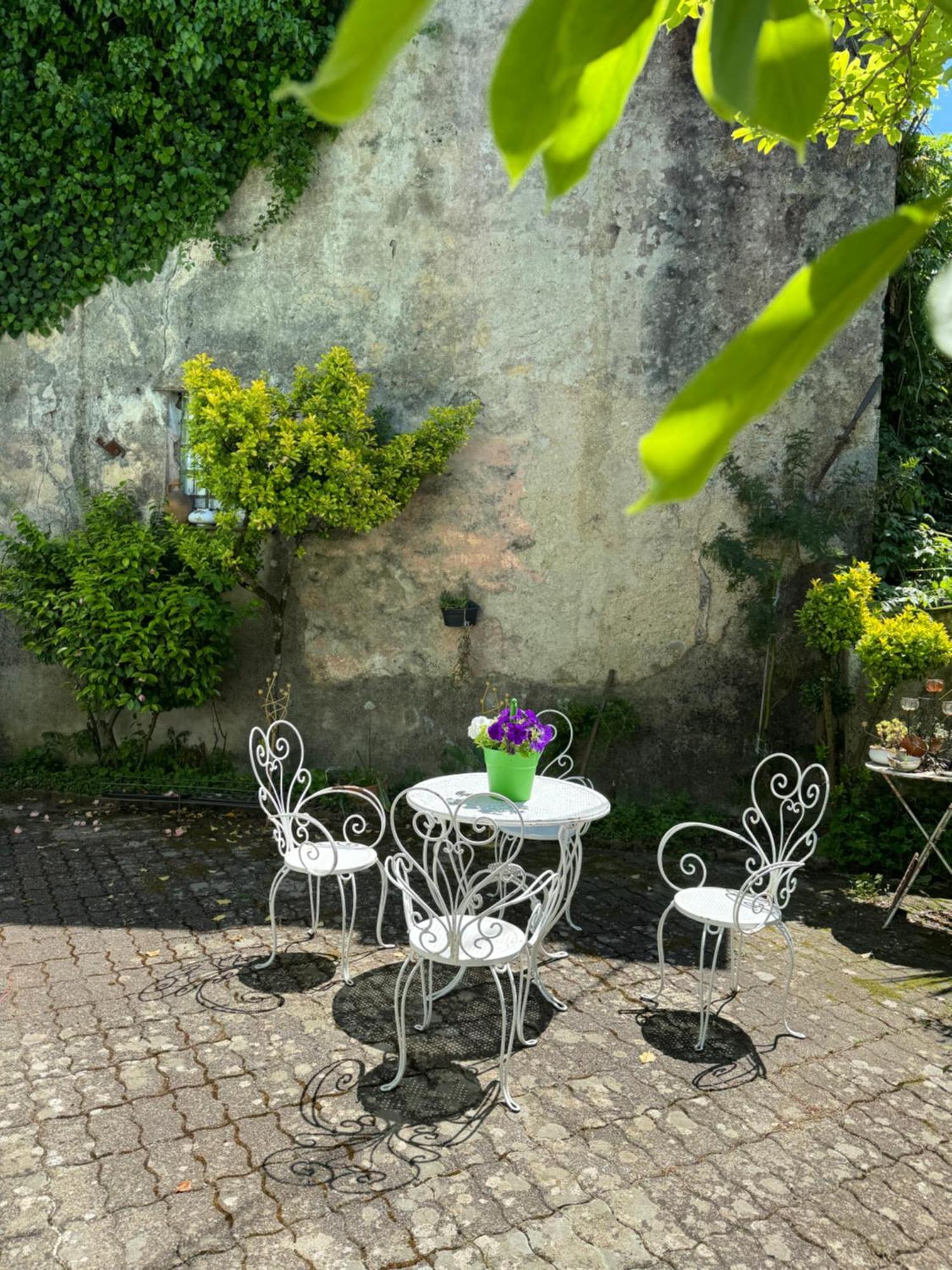 Villa Atris 보르게토 디 바라 외부 사진
